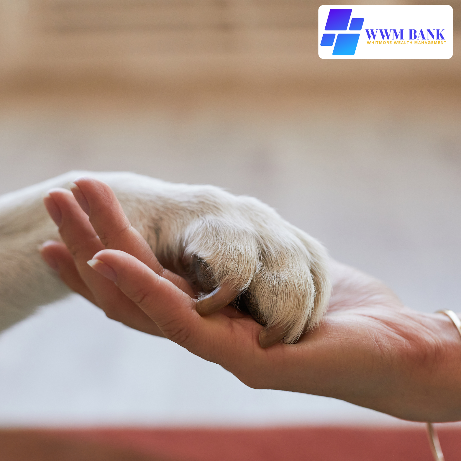 Pet care team image
